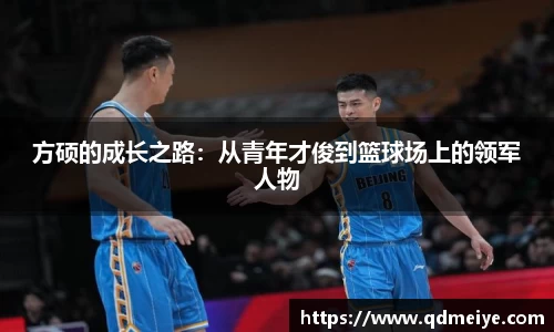 BB贝博官网