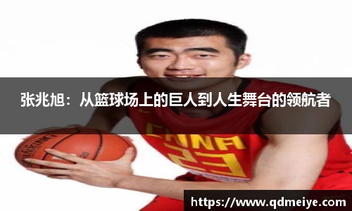 BB贝博官网