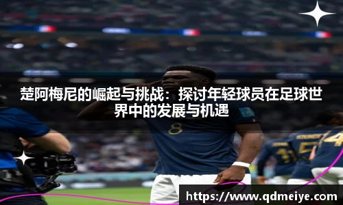 BB贝博